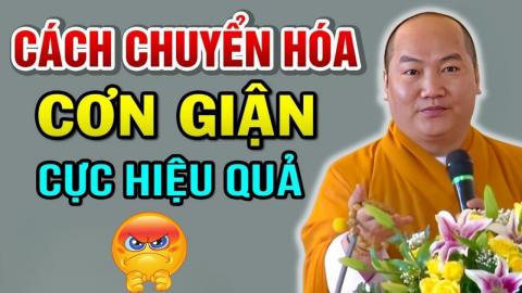 ảnh 2 Cách Để Chuyển Hóa Nghiệp Nóng Giận Thành Tình Thương Và Từ Bi - Thầy Thích Phước Tiến