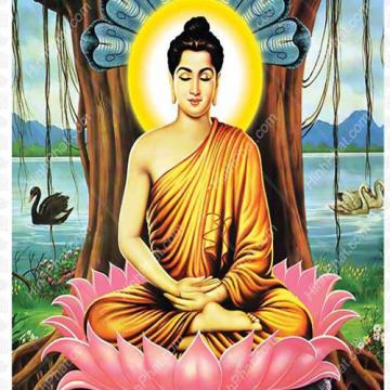 ảnh Cách Báo Hiếu Công Ơn Cha Mẹ Sinh Thành Để Hưởng Nhiều Phước Báu - Truyện Phật Giáo Mp3