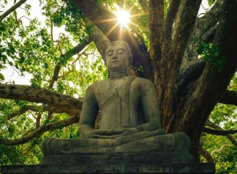 ảnh Om Mani Padme Hum 01 - Nhạc Chú Om Mani Padme Hum