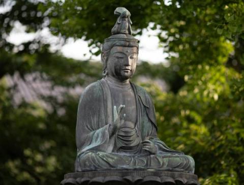 ảnh Nam Mô Đại Bi Quán Thế Âm Bồ Tát (Trường Kha) - Nhạc Phật Giáo Hay Nhất Tuyển Chọn Nhiều Ca Sĩ