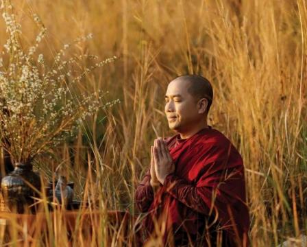 ảnh Dành Cho Các Bạn Trẻ - Thầy Thích Minh Niệm Nói Về Tình Yêu
