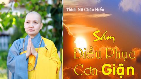 ảnh Điều Phục Cơn Giận - Nhạc Phật Giáo Ý Nghĩa TN Chúc Hiếu