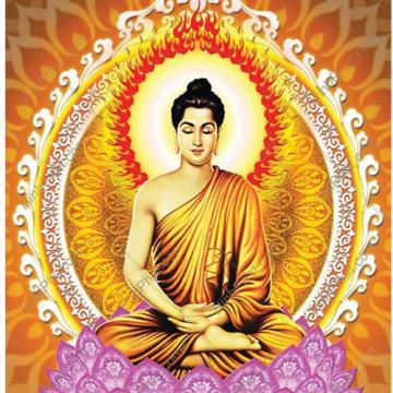 ảnh Oan Gia Trái Chủ Không Hẹn Mà Gặp - Phật Dạy Về Nhân Quả