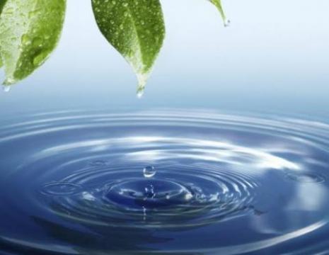 ảnh Audio Nhạc Thiền Đàn Tranh - Nhạc Thiền Định Tĩnh Tâm Phật Giáo