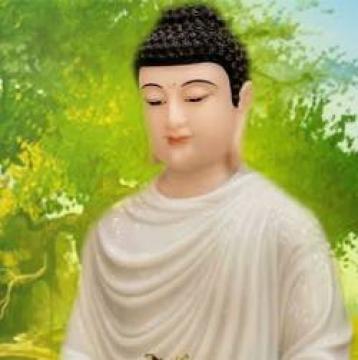 Lời Phật Dạy Về Chữ Hiếu Công Ơn Cha Mẹ Nghe Để Hiểu Và Hành Động