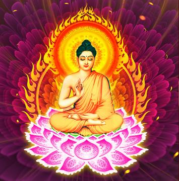 ảnh Phật Dạy Gieo Nhân Gì Gặp Quả Đó - Phật Dạy Về Nhân Quả