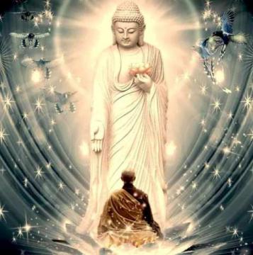101 Đóa Sen Thông Điệp Của Sự Bình Anh Phật Dạy Về Đạo Làm Người