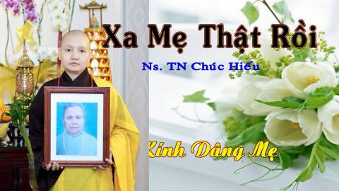 ảnh Xa Mẹ Thật Rồi - Nhạc Phật Giáo Ý Nghĩa TN Chúc Hiếu