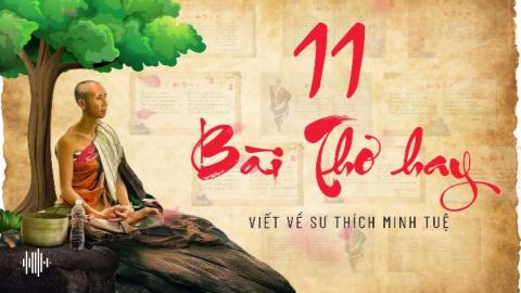 ảnh 11 bài Thơ về sư Minh Tuệ sẽ chạm đến trái tim bạn