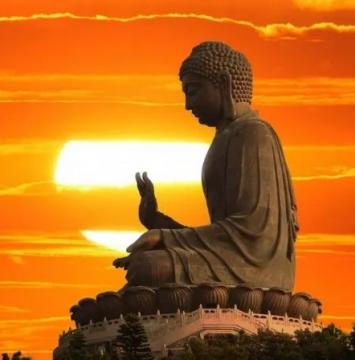 ảnh Dang Hoa Nhac Phat Giao - Ca Nhạc Phật Giáo 2025