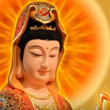 ảnh Sám Nguyện (Đại Đức Thích Nhuận Thanh) - Nhạc Phật Giáo Hay Nhất Tuyển Chọn Nhiều Ca Sĩ