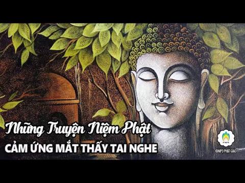 ảnh Truyện Niệm Phật Cảm Ứng Mắt Thấy Tai Nghe Phần 4 - Truyện Phật Giáo Mp3