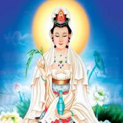 ảnh Cha Mẹ - Nhạc Phật Giáo Hay mp3