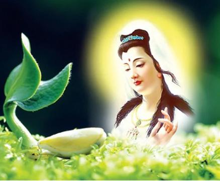 ảnh Quán Âm Thập Nhất Diện Nhạc Thiền Nhạc Phật - Giai Điệu Tỉnh Thức Từ Bi